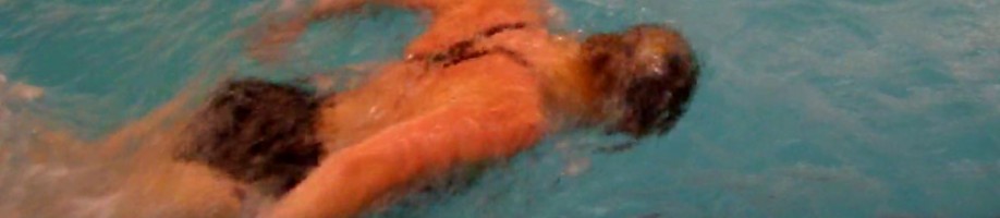 schwimmen_delphin schwimmen_delphin